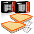 APEAF1143 2 Pcs Engine Air Filter