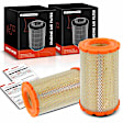 APEAF115 2 Pcs Engine Air Filter