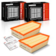 APEAF1161 2 Pcs Engine Air Filter