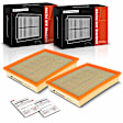 APEAF1165 2 Pcs Engine Air Filter with Flexible Panel