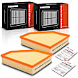 APEAF1173 2 Pcs Air Filter