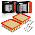 APEAF1185 2 Pcs Engine Air Filter