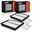 APEAF1189 2 Pcs Engine Air Filter
