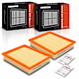 APEAF1195 2 Pcs Engine Air Filter