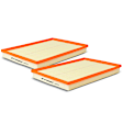 APEAF121 2 Pcs Engine Air Filter