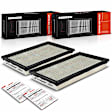APEAF1228 2 Pcs Engine Air Filter