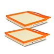 APEAF123 2 Pcs Engine Air Filter