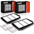 APEAF1251 2 Pcs Engine Air Filter