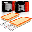 APEAF1253 2 Pcs Engine Air Filter