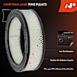 APEAF1263 2 Pcs Engine Air Filter