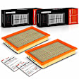 APEAF1265 2 Pcs Engine Air Filter
