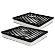 APEAF127 2 Pcs Engine Air Filter