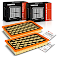 APEAF1300 2 Pcs Engine Air Filter