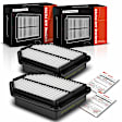 APEAF1316 2 Pcs Engine Air Filter