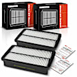 APEAF1318 2 Pcs Engine Air Filter