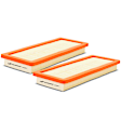 APEAF131 2 Pcs Engine Air Filter