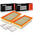 APEAF1322 2 Pcs Engine Air Filter