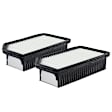 APEAF133 2 Pcs Engine Air Filter