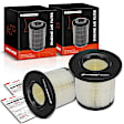 APEAF1342 2 Pcs Engine Air Filter