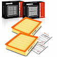 APEAF1368 2 Pcs Engine Air Filter