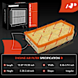 APEAF1374 2 Pcs Engine Air Filter