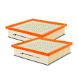 APEAF137 2 Pcs Engine Air Filter
