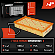 APEAF1381 Engine Air Filter