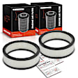 APEAF1410 2 Pcs Engine Air Filter