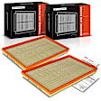 APEAF1418 2 Pcs Engine Air Filter