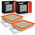 APEAF1426 2 Pcs Engine Air Filter