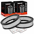 APEAF1432 2 Pcs Engine Air Filter