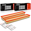 APEAF1444 2 Pcs Engine Air Filter