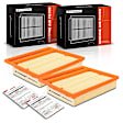 APEAF1452 2 Pcs Engine Air Filter
