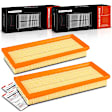 APEAF1462 2 Pcs Engine Air Filter
