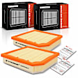 APEAF1494 2 Pcs Engine Air Filter