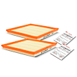 APEAF149 2 Pcs Engine Air Filter