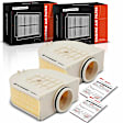 APEAF1502 2 Pcs Engine Air Filter