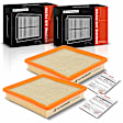 APEAF1506 2 Pcs Engine Air Filter
