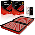 APEAF1560 2 Pcs Front High Performance Engine Air Filter