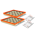 APEAF159 2 Pcs Engine Air Filter
