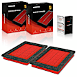 APEAF1600 2 Pcs Front High Performance Engine Air Filter