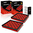 APEAF1604 2 Pcs Front High Performance Engine Air Filter