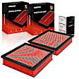 APEAF1608 2 Pcs High Performance Engine Air Filter