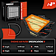 APEAF1619 Driver Engine Air Filter
