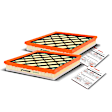 APEAF161 2 Pcs Engine Air Filter
