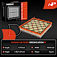 APEAF161 2 Pcs Engine Air Filter