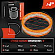 APEAF1631 Engine Air Filter