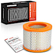 APEAF1636 Engine Air Filter