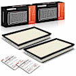 APEAF1661 2 Pcs Engine Air Filter