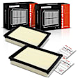 APEAF1663 2 Pcs Engine Air Filter